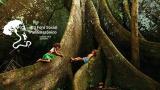 Foro Panamazónico llama a escuchar el bosque en Día de la Tierra y año del árbol