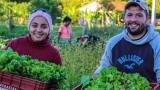 #16Oct: “La Soberanía Alimentaria puede mostrarnos el camino” en un año de pandemia