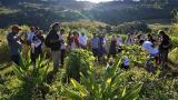 Pouco, ou quase nada, tem sido feito para garantir os direitos dos agricultores na América Latina e Caribe