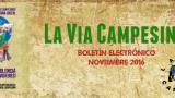 Boletín Vía Campesina  - Noviembre 2016