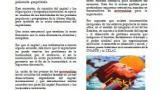 Boletín Tierra - Criminalización de la protesta social y la lucha en Latinoamérica - julio 2016