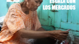 La vinculación de los productores a pequeña escala con los mercados - Guía Análitica